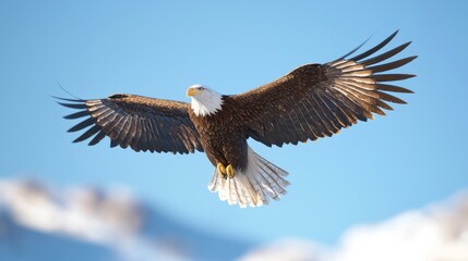 Naklejka premium Majestic Eagle Soaring Through Winter Sky with Snowy Mountains in Background, Cinematic Light