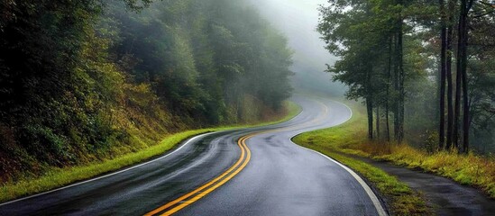 Fototapeta premium Winding Road Through Misty Forest