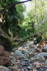 The path of the centaurs (after Cyclone Daniel) Portaria Pelion Greece