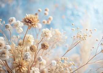 Macro Photography of Beige Dried Flowers on Empty Blue and White Background for Elegant Decor and Design Use