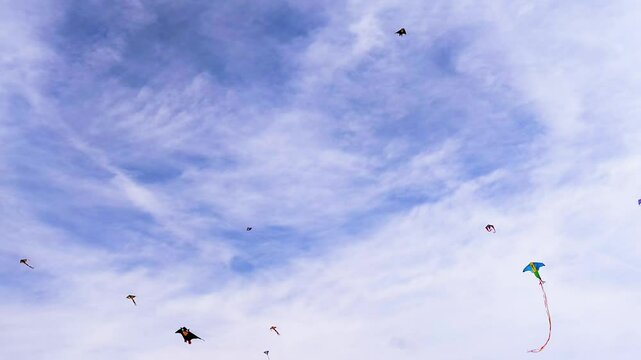 viele farbenfrohe Winddrachen tanzen im leichten Wind an herstlichem leicht bew&ouml;lktem Himmel, Drachensteigen, Windvogel, Drachenflugger&auml;t, bunt, Drachen basteln