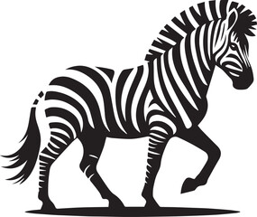 zebra vector illustration