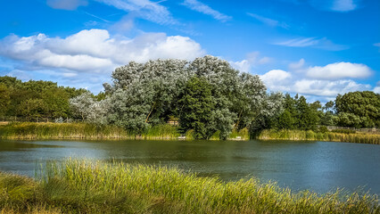 View of a landscape in the East Sussex countryside, England, UK