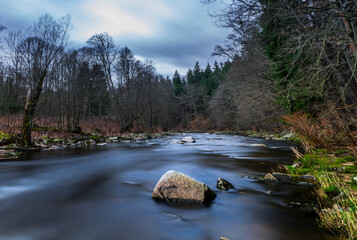Beaver river, in a forest, in the city of Jelenia Góra,with a mumped footbridge, and in the...