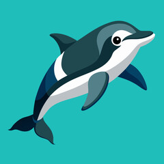 commerson-s-dolphin-isometric-illustrations 