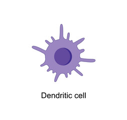 Dendritic cell of immune system, stained microscopic cell, vector illustration.,
