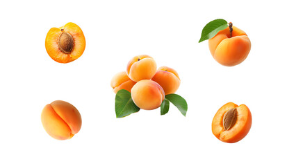 Ripe apricots set on transparent background. Design png clipart of fresh autumn harvest for postcards, posters and stickers