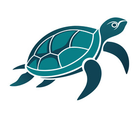 Tortoise  vector illustration of a turtle