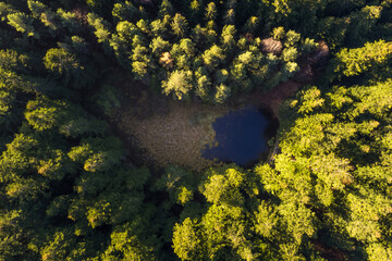 Jeziorko Czarna Młaka w Beskidzie Sądeckim widziane z góry. © Jacek