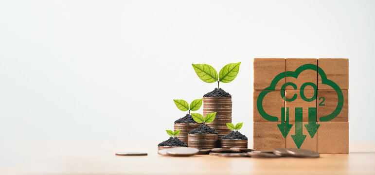 Plant growing on coins stacking with carbon reduction sign for carbon credit and footprint can make more business profit and  limit global warming from climate change concept.