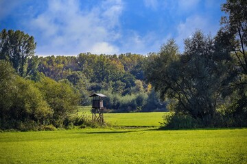 Meadow surrounded by forest with hide