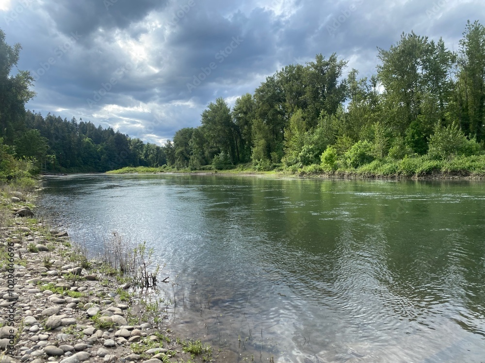 Wall mural willamette river with overcast sky