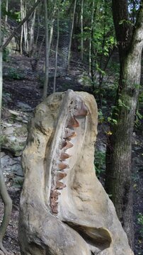 ancient dinosaur footprints history vertical video