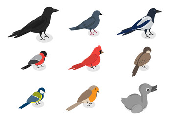 3D Isometric Flat  Set of City Birds, Sparrow, Tit, Pigeon, and Crow