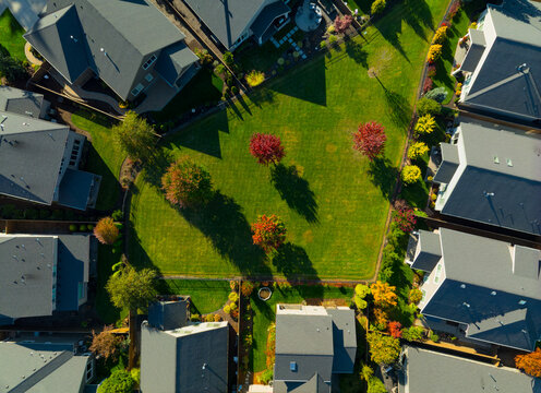 A neighborhood with houses and trees