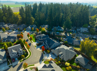 A residential neighborhood with houses and trees