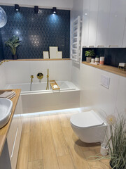 modern bathroom with bathtub and sleek tiles, accessories