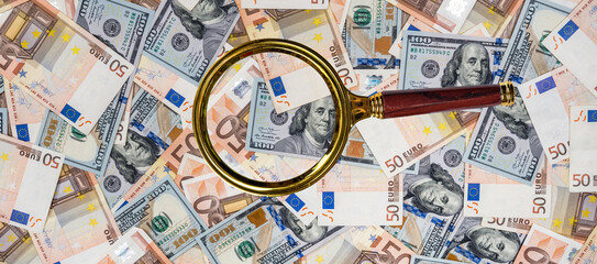 50 wuro and 100 dollar banknotes as background