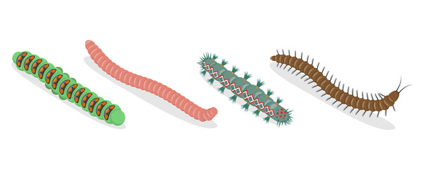 3D Isometric Flat  Set of Caterpillars And Worms, Biology and Education