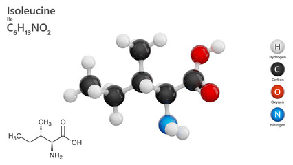 Isoleucine (C6H13NO2) is an amino acid crucial for protein synthesis and muscle metabolism. It aids in hemoglobin production and energy regulation during physical activity. White back. 3d illustration