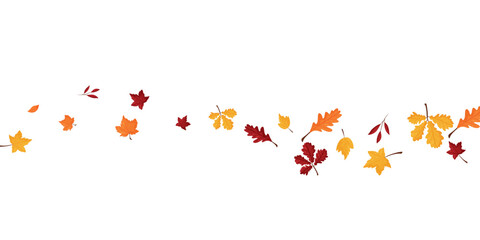 Wave of falling leaves. Leaf fall. Autumn falling leaves on a transparent background.