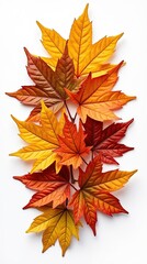 Fototapeta premium Vibrant autumn leaves in hyperrealism isolated on white background