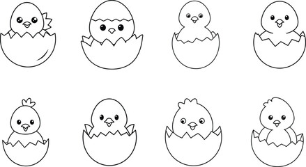 Cute Baby Chicks Hatching from Eggs © Bappaditya Roy