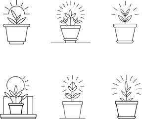 Potted Plant Growth Stages Sun Light Icons