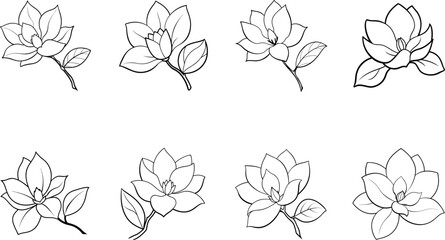 Black and White Line Art Magnolia Flower Illustrations