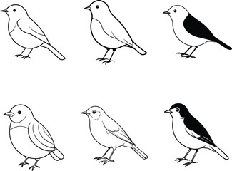 Black and White Bird Illustrations Coloring Pages