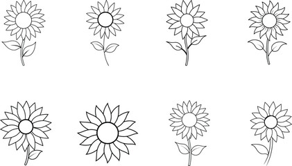 Eight Black and White Sunflower Drawings