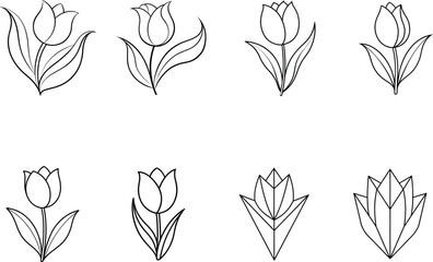 Eight Line Drawings of Tulips in Various Styles