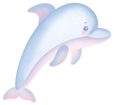 dolphin jumping out of water