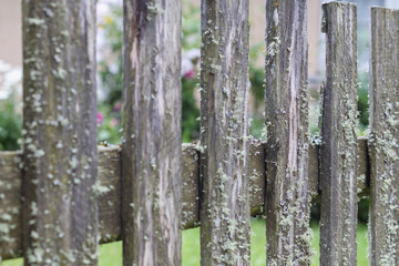 
Old mossy wooden fence with grass