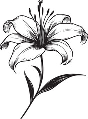 This is an illustration of flowers in a simple and modern line art style. 