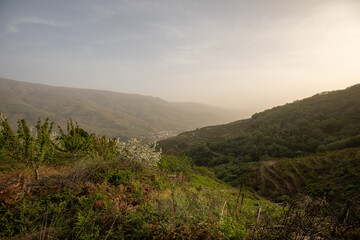 Scenic landscape with the Jerte valley, Caceres, Extremadura, Spain, in the background, between the mountains with golden sunset light
