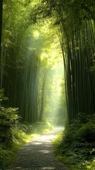 Obraz premium Serene Bamboo Forest Pathway Illuminated by Sunlight Beams Creating a Tranquil Green Escape for Nature Enthusiasts