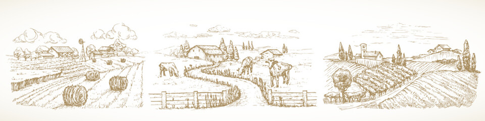 Farm Sketch Rustic Landscape Illustrations Set. Hand Drawn Vector Countryside Village Vineyard with Domestic Cattle Cow Animals, Haystacks Doodle. Engraving Style Pasture Drawing. Isolated