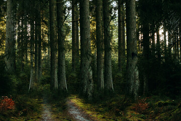 Fototapeta premium WALD #131048.2