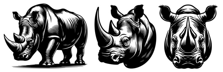 rhino silhouette set showcasing strong and majestic animals, black vector