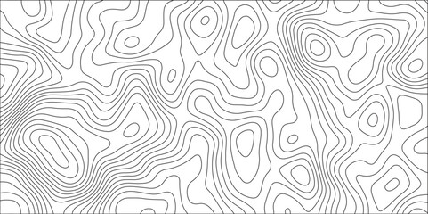 Abstract Topographic Contour Line Pattern. Monochromatic, wavy lines creating a fluid, organic design. Panorama view gradient black & white wave curve lines banner background design.