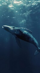 Fototapeta premium Blue whale, 4K hyperrealistic photo