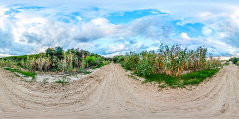 Green Bushes In The Beach 360 View