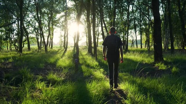 Hiker walking through sunny forest in slow motion