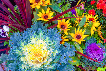 Fall Flowers at a Harvest Festival
