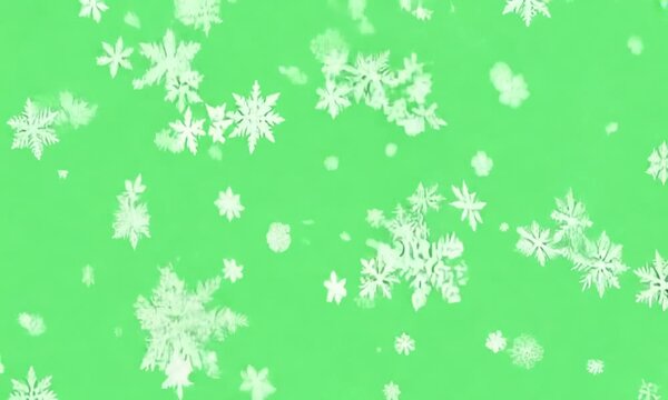 Green grass, snowflake pattern, Christmas holiday vector