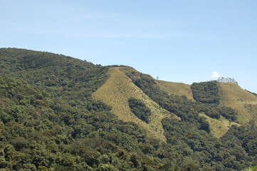 Hakgala Botanical Garden: A Floral Paradise in Sri Lanka’s Hill Country