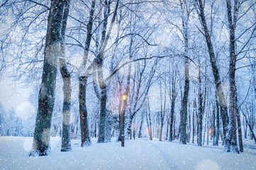 Christmas landscape with falling snow, night winter city alley under falling snow. Winter Christmas night scene with Christmas and New Year mood