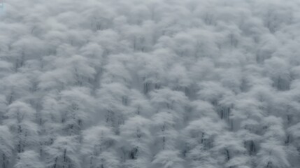 Fototapeta premium Tranquil snowy forest landscape featuring towering trees blanketed in soft, pristine white snow