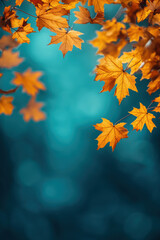 Maple leaves in warm autumn sunlight